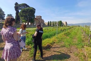 Milano: Tur till Iseosjön och Franciacorta med vingård och vinprovning