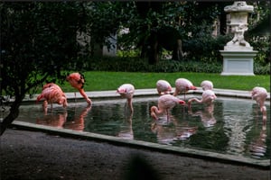 El lado secreto de Milán - Un tour a pie fuera de los caminos trillados