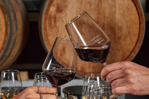 Cantina Urbana Milano: Degustazione & Tour alla Cantina Urbana