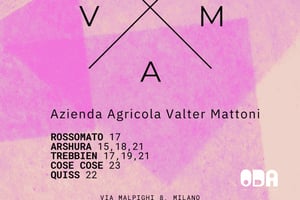 Degustação de vinhos em Milão com o produtor: Valter Mattoni