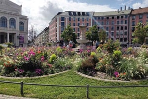 Кулинария Хайдхаузена - Гастрономический тур