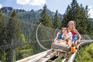 München: Private Tour zum Schloss Neuschwanstein und zur Alpenachterbahn