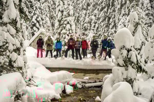 Durmitor National Park: Snowshoe Tour Black & Zminje Lake
