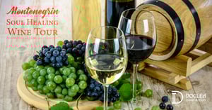 Montenegrin Soul-Healing Wine Tour