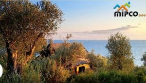 Montenegro Property Estate