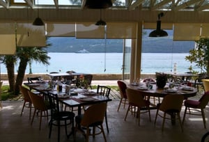 Papagaj R'n L, Djenovici