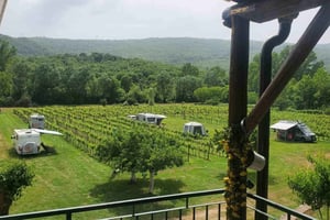 Podgorica: Panoramic Wine Tasting & Snack