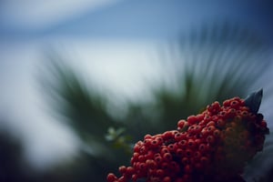 Winery Castel Savina