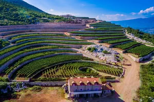 Građani: Winery Tour and Tasting at Winery Lipovac