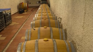 Winery Vucinic - Zenta