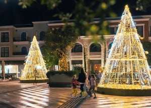 Boxing Day - Lustica Bay