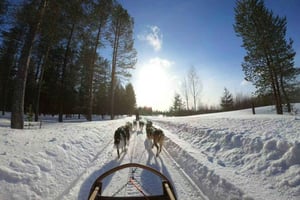 Excursión de 1 día a Mont-Tremblant en invierno (con paseo en góndola)