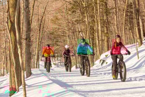 Montreal: Entrada al Parque Nacional del Mont-Saint-Bruno y Fatbiking