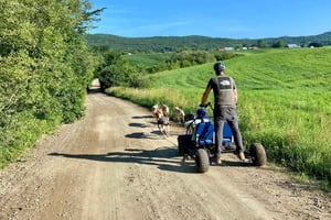 St-Liguori: Experiencia Cani-Karting/Trineo con perros