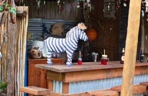 Blue Zebra Bar