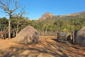 From Maputo: Full-Day Hlane Royal Park Safari & Culture Tour