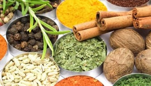 Dakshin Culture Curry