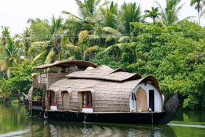 Vanuit Kochi - 03 dagen Periyar Wildlife & Huisboot Cruise
