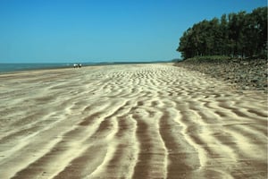 Excursión guiada de un día a la playa de Alibag-Kashid desde Bombay