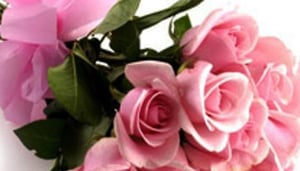 India Florist Direct