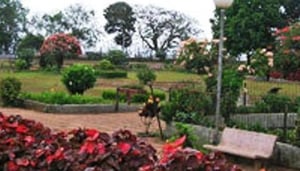 Joseph Baptista Garden