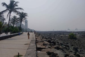Excursión de 1 día a Bombay: siéntete como un lugareño con un guía
