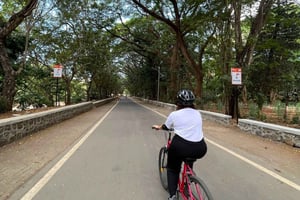 Mumbai mit dem Fahrrad: SGNP-Wildniswege & alte Kanheri-Höhlen