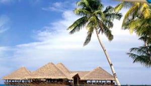 Omega Tours i Podróże