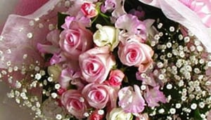 Rainbow Florist World