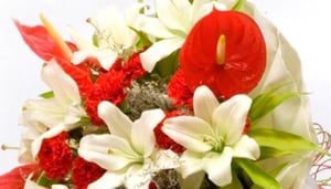 Rajdhani Florist