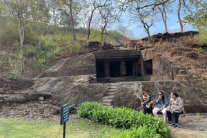 Sanjay Gandhin kansallispuisto + Kenherin luolat + Leijonasafari