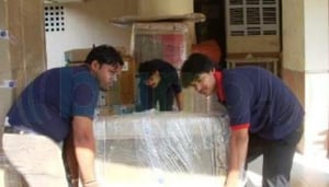 Southern Cargo Packers & Movers