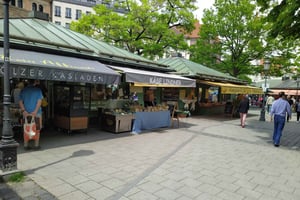 Мюнхен: частная пешеходная экскурсия по достопримечательностям Мюнхена