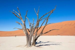 Desde Windhoek: Presupuesto Excursión guiada de 2 días a Sossusvlei