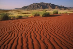 African Profile Safaris