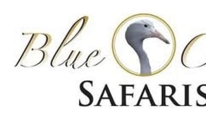 Blue Crane Safaris