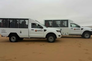 From Swakopmund: Living Dunes Experience