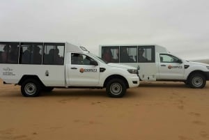 From Swakopmund: Living Dunes Experience