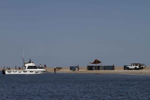 From Walvis Bay: Namibian Coast Day Cruise with Lunch