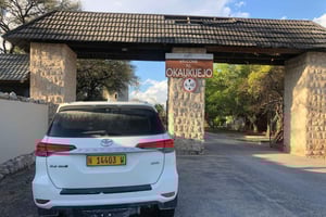 From Windhoek: 3-Day Etosha National Park Safari