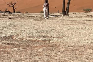 From Windhoek & Swakop: Namib Desert 2-Night Tour with Meals