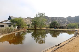 Goanikontes Oasis Rest Camp