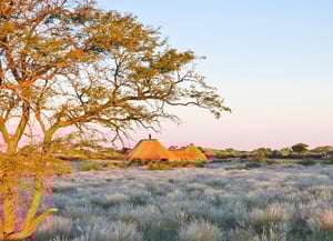Kalahari Red Dunes Lodge