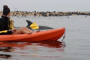 Kayaking amongst the seals and Sandwich Harbour- Combo Tour