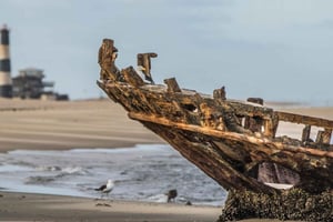 Namib Desert: Pink Salt Lakes, Seal Colony & Moon Valley