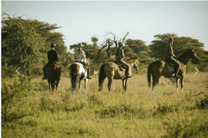 Namibia: Horse Riding Safari at Kambaku Game Reserve