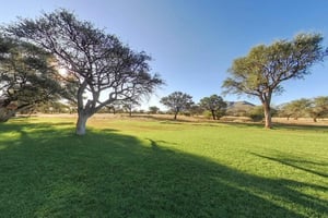 From Windhoek: Okapuka Safari Lodge Day Trip