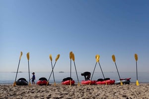 Pelican Point: Kayak with Seals Experience