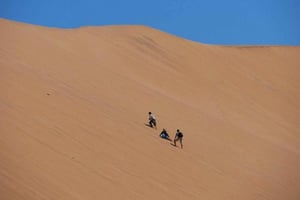 Highlights of Walvis Bay Private Tour