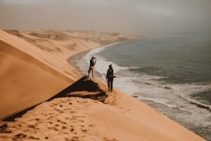 Tour guiado en 4x4 por Sandwich Harbour